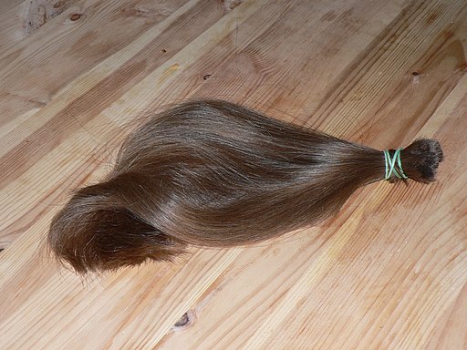 Cut-off long brown ponytail lying on floor