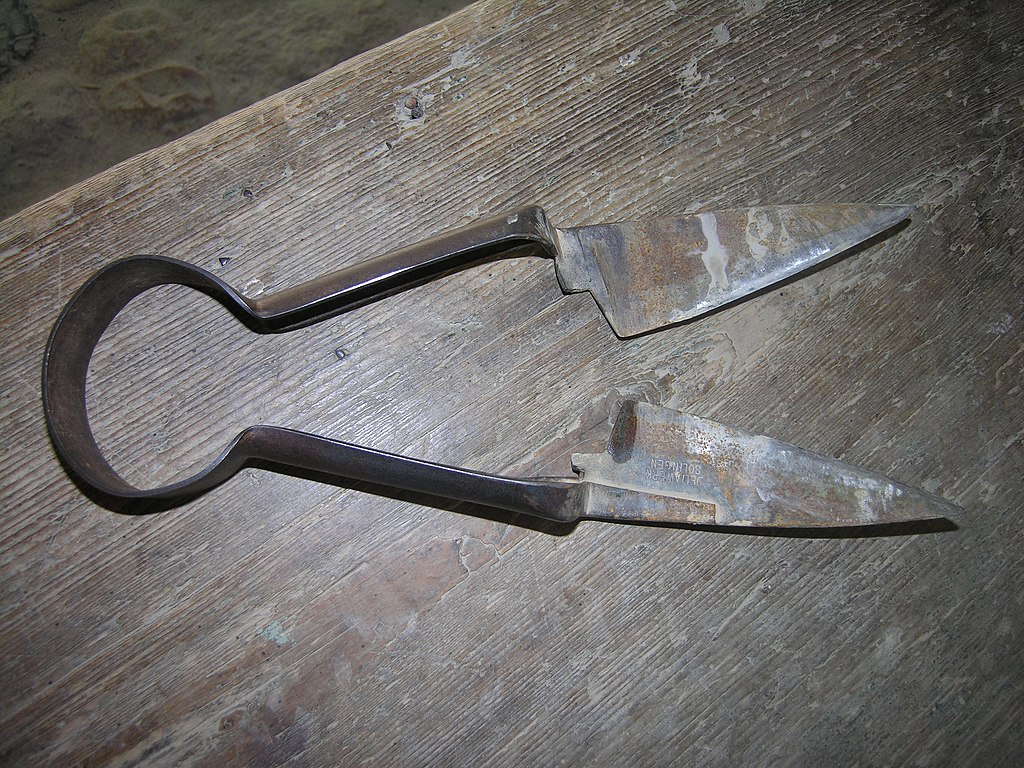 A pair of antique sheep shears, lying on a wooden surface.